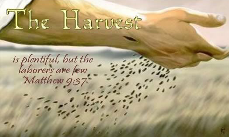 Christian Counselling Classes